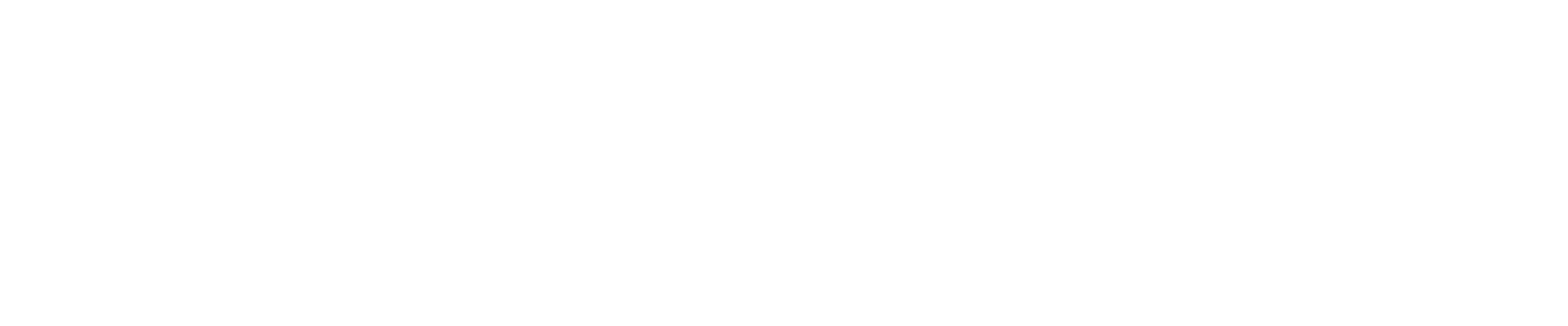 Mag. (FH) Martina Zehetner. Event & Marketing Outsourcing.